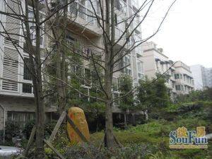 新溪名园 3室2厅 南