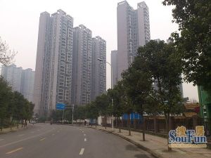东苑A区3室2厅南
