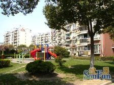 金鼎花苑 中间楼层 全明三房 户型方正