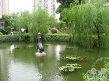 真如·星河世纪城星月蓝湾空中别墅、视野开阔、配套成熟、双轨近