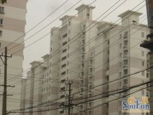 沪中新苑 2室2厅 南 北