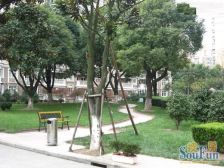 望族苑新上平层大2房,2卫设计,南北通透,不靠马路,户型正气