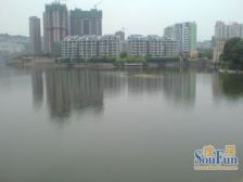 回兴 丽源岛四房