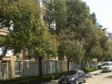 规划四轨交,机场联络线,精装修,配套齐全,南北通