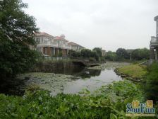 莘闵别墅标杆小区 高品质 纯独栋社区 环境好 绿化高