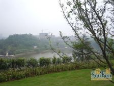 此房满两年,视野开阔,采光性好,配套齐全,交通便利