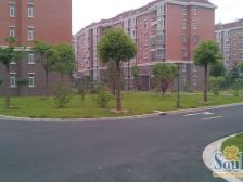 地铁500米 顶楼复式,76.18+76.18平 好房