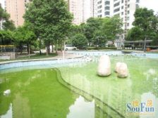 亚都国际名园3室2厅南北