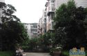 明珠花园实景图