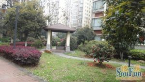 东塘 花园小区 精装大三房 拎包入住 带阳光房