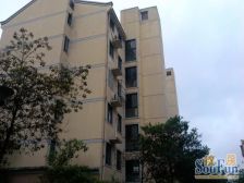 户型方正,采光好,通风好,诚心出售