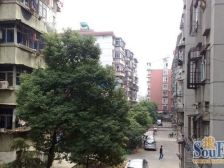 全天太阳光线好 户型实用两房,一梯两户