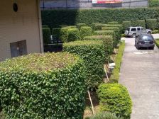 此房満五唯一 装修好,交通方便 楼高安静 视野开阔