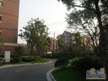 绿地金卫新家园(东区) 1室2厅 南