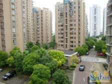 全新刚装修,拎包即入住,大区力推好房,谁看了都说香