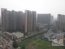 龙湖三千城二期B区 3室2厅 南 北