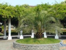 中环内复式8房空中别墅,近6号线上南路的商品房