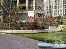 位置好+楼层好+前滩辐射+采光好+无遮挡+诚意出售