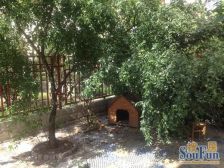 爱玛 花园小区 好楼层 保养很好 有个大南车库