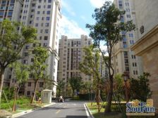 圣都汇南北通大3房,近地铁15号线,桃浦智创城和果蔬批发市场