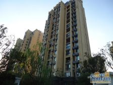 楼层佳 户型方正,南北通透 套内面积大