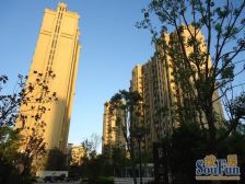 新天地荻泾花园 5室4厅 南