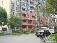 菊泉新村 3室1厅 南 北