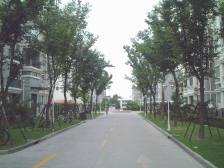 嘉闵线旁,仓场路生活配套,百联旁,顶层复式