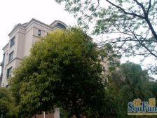 业主再次降价,户型无缺角,沿河景观,看中随时可签约