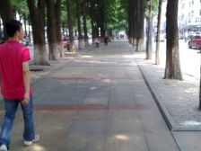 业主诚意出售,看中可议价,三房中间楼层,看房方便