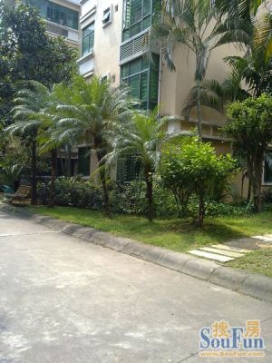 【东莞锦江花园小区,二手房,租房】- 东莞房天下