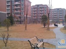 双轨交7-15号线旁.大3房复式业主诚意出售.看房随时。