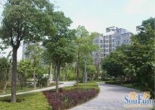 天山绿洲二期精装修两室,交通出行很方便,有地铁暖气