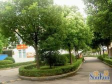 低总价好房诚售,价格好谈,采光通风好