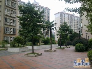 华银园3室2厅南