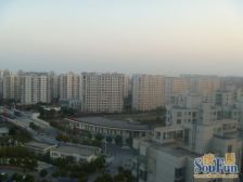 三林 · 金橘新苑-尚博路799弄 · 3室 · 2厅