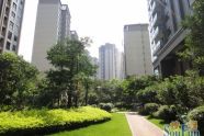 房子排行榜_想买房,先看看这份历下二手房热门小区排行榜!