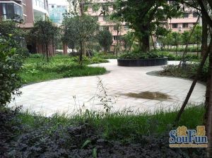 安蓉路12号3室1厅东北