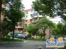 随时看房 刚需上车,必看好房