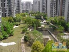 店总推荐 ,户型方正,满五税费少,满眼绿色采光好