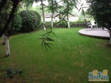 近中环 大独栋 大花园