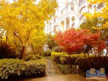 金虹桥·虹桥花苑·4室·3厅