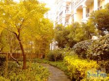 虹桥花苑2室2厅1卫南朝向800.00万元/套出售