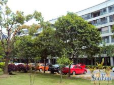 三林板式大三房,楼层好位置好,房东诚心出售