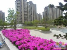 43%绿化商品房社区中高层非顶楼南北两房