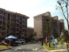 聚焦前滩 在建新杨思 次新商品房电梯一房,3轨交通