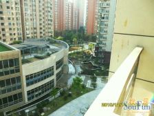 世博花园 2室1厅 南