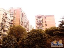 挑空客厅复式洋房 一梯一户 虹梅路高品质住宅