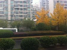 愉景华庭6室南朝向1700.00万元/套出售