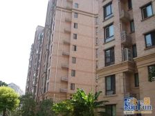 臻果国际 1室1厅 南